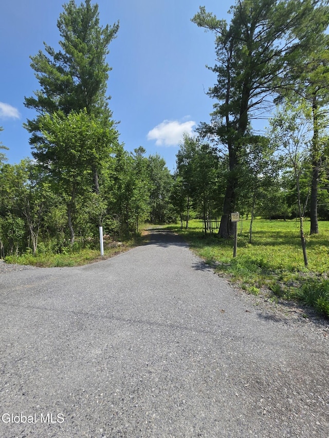L15.21 Zimmer Rd, Knox, NY 12023 - photo 3
