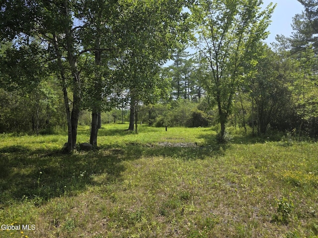 L15.21 Zimmer Rd, Knox, NY 12023 - photo 6