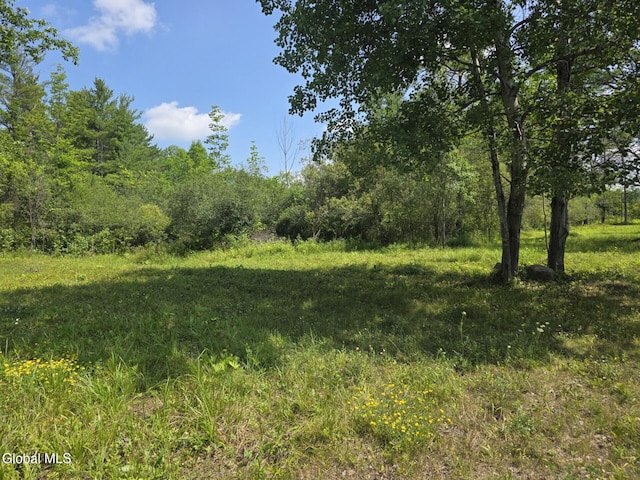 L15.21 Zimmer Rd, Knox, NY 12023 - photo 7