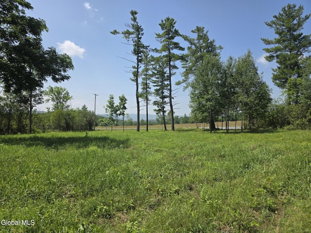 L15.21 Zimmer Rd, Knox, NY 12023 - photo 8