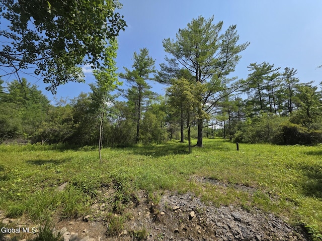 L15.21 Zimmer Rd, Knox, NY 12023 - photo 9