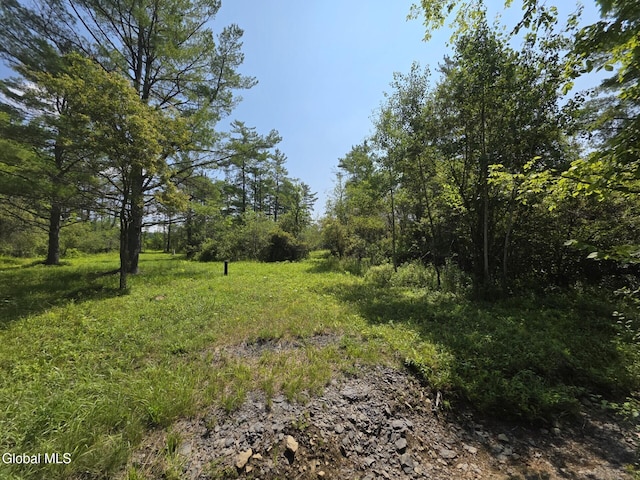 L15.21 Zimmer Rd, Knox, NY 12023 - photo 10