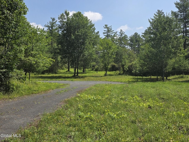 L15.21 Zimmer Rd, Knox, NY 12023 - photo 12