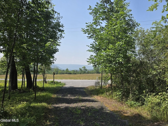 L15.21 Zimmer Rd, Knox, NY 12023 - photo 13