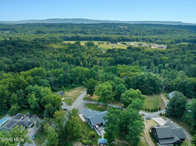 7 Nott Rd, Guilderland, NY 12084 - photo 76