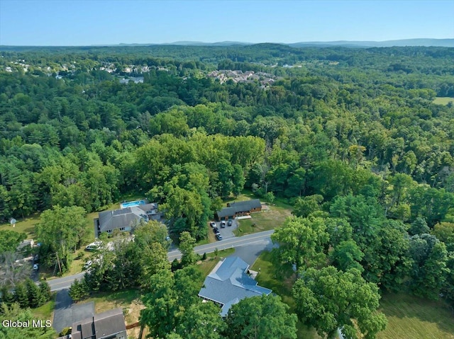 7 Nott Rd, Guilderland, NY 12084 - photo 77