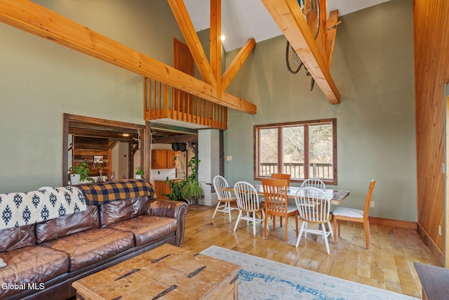 34 Old New Salem Rd, New Scotland, NY 12186 - living area featuring high vaulted ceiling and hardwood / wood-style flooring