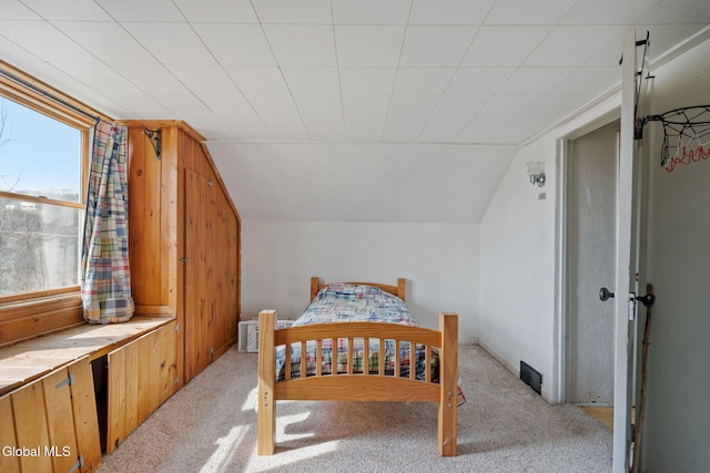 34 Old New Salem Rd, New Scotland, NY 12186 - bedroom featuring lofted ceiling and carpet flooring
