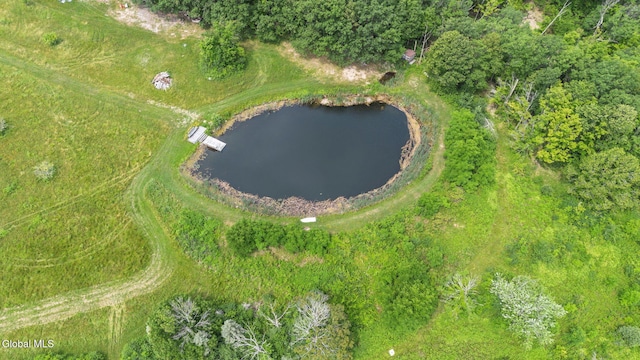 34 Old New Salem Rd, New Scotland, NY 12186 - aerial view of property and surrounding area with a nearby body of water
