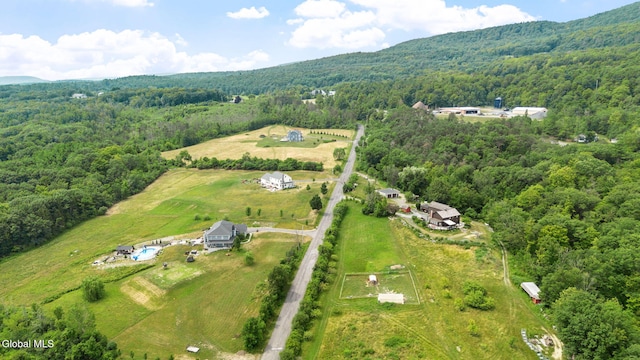 34 Old New Salem Rd, New Scotland, NY 12186 - aerial view of property's location featuring a heavily wooded area and rural landscape
