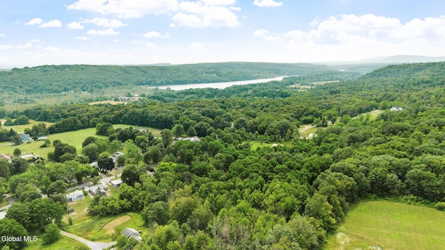 34 Old New Salem Rd, New Scotland, NY 12186 - aerial view of a heavily wooded area and a large body of water