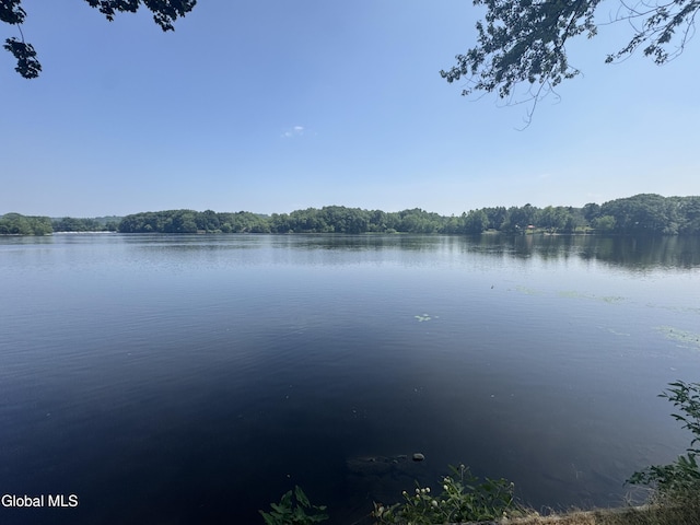 3 Bunce Ln, Stillwater, NY 12170 - photo 41