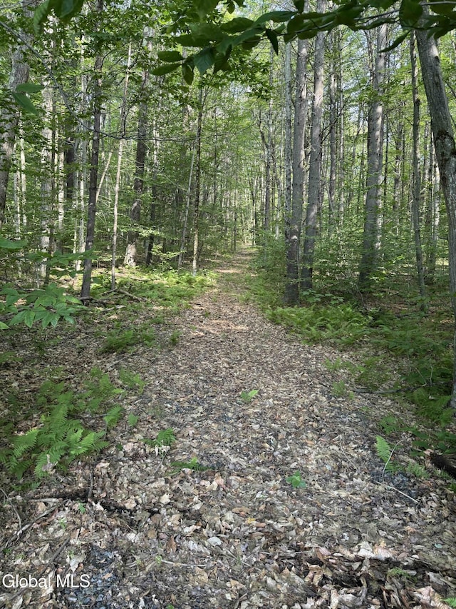 L3 Maple Grove Rd, Hope, NY 12134 - photo 8