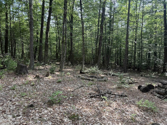 L3 Maple Grove Rd, Hope, NY 12134 - photo 13