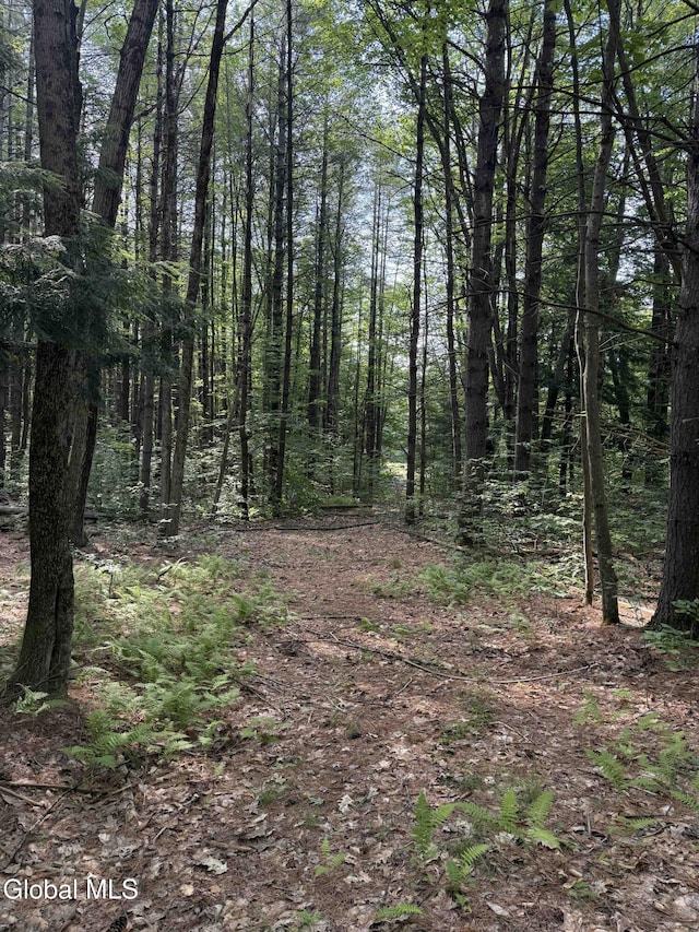 L3 Maple Grove Rd, Hope, NY 12134 - photo 15
