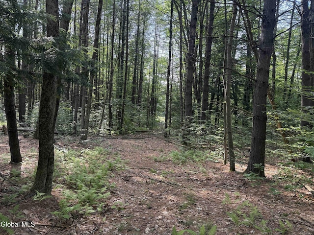 L3 Maple Grove Rd, Hope, NY 12134 - photo 16