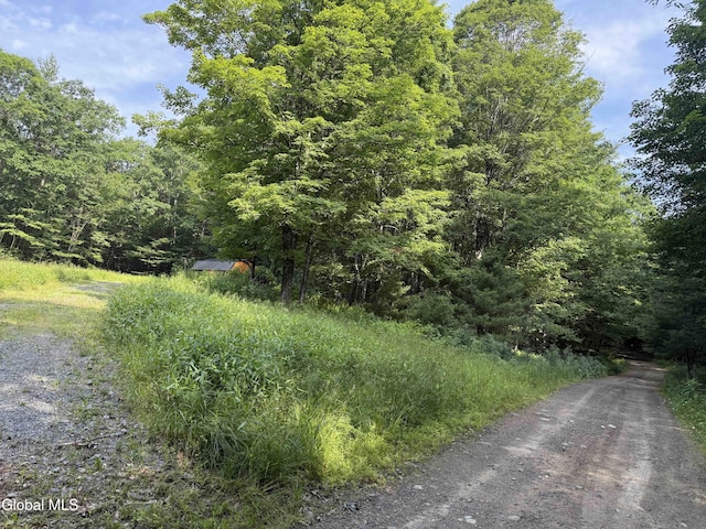 L3 Maple Grove Rd, Hope, NY 12134 - photo 19