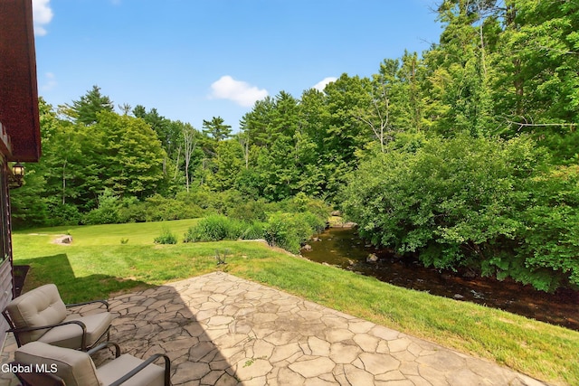 21 Browns Way, Fort Ann, NY 12827 - photo 52