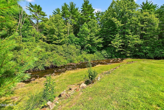 21 Browns Way, Fort Ann, NY 12827 - photo 54