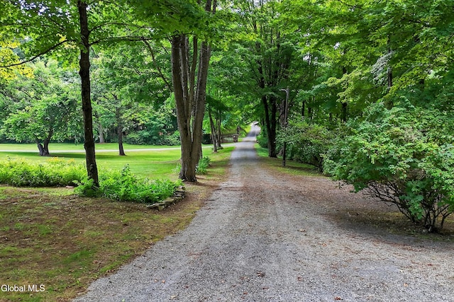 21 Browns Way, Fort Ann, NY 12827 - photo 89