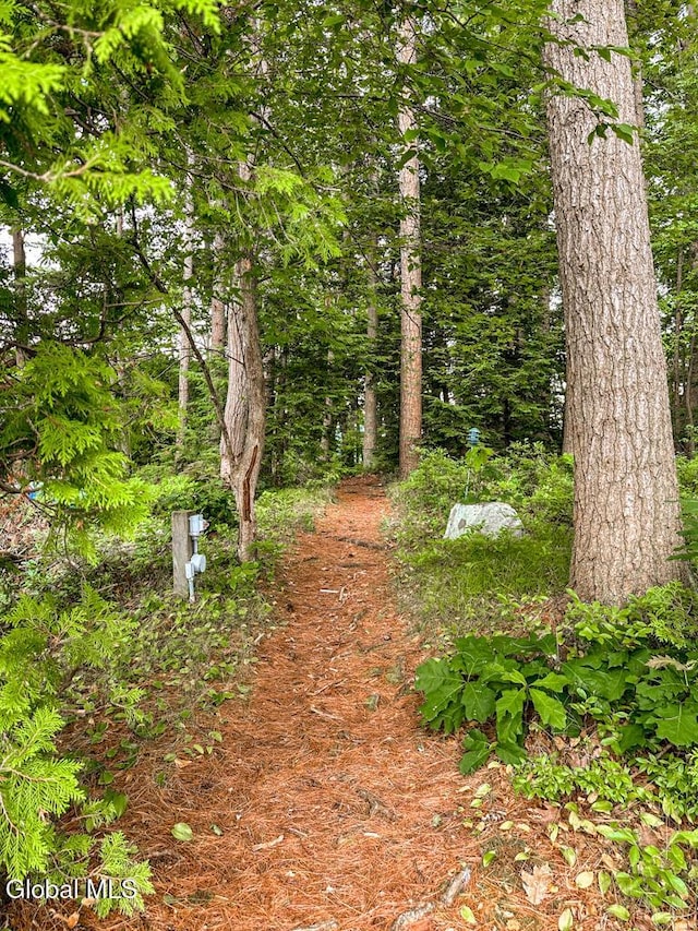 4 Oahu Is, Bolton, NY 12814 - photo 17