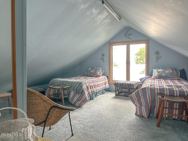 4 Oahu Is, Bolton, NY 12814 - photo 53