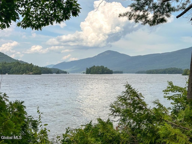 4 Oahu Is, Bolton, NY 12814 - photo 57