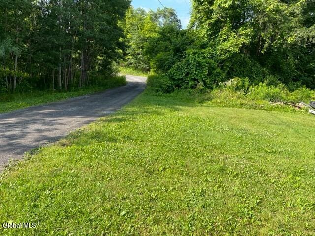 115 El Dorado Ln, Gilboa, NY 12076 - photo 18
