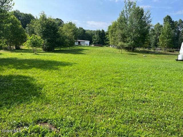 115 El Dorado Ln, Gilboa, NY 12076 - photo 19
