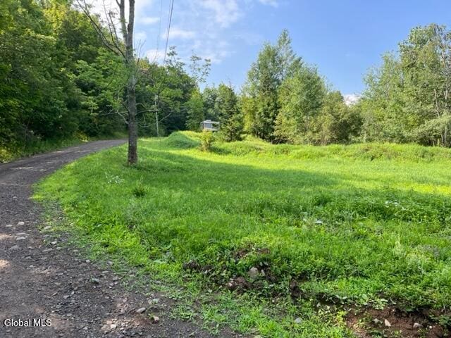 115 El Dorado Ln, Gilboa, NY 12076 - photo 23