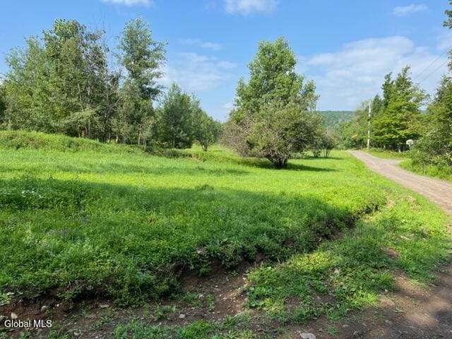 115 El Dorado Ln, Gilboa, NY 12076 - photo 24