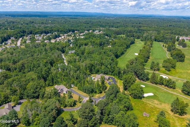 27 Legends Way, Clifton Park, NY 12019 - photo 129