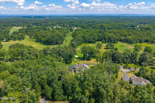 27 Legends Way, Clifton Park, NY 12019 - photo 132