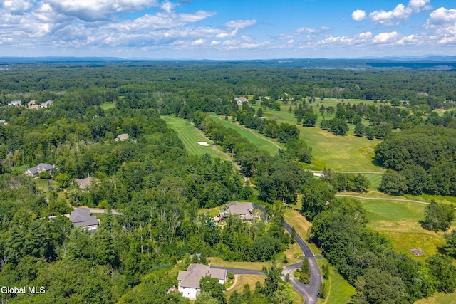 27 Legends Way, Clifton Park, NY 12019 - photo 102