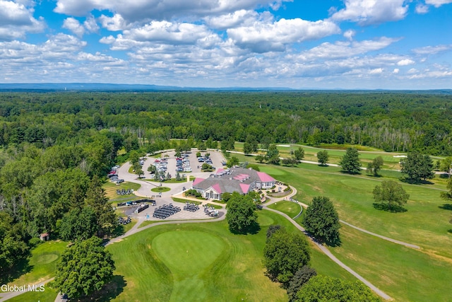 27 Legends Way, Clifton Park, NY 12019 - photo 101