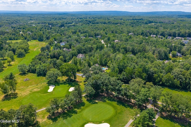 27 Legends Way, Clifton Park, NY 12019 - photo 100