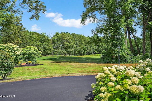 27 Legends Way, Clifton Park, NY 12019 - photo 120