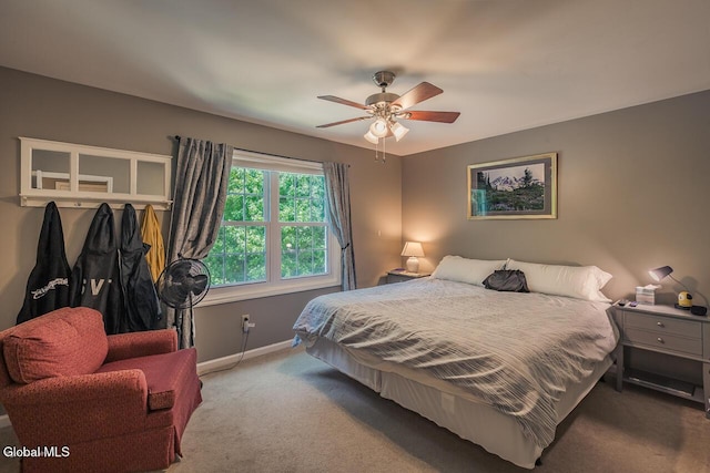 54 S Whitney Rd, Stillwater, NY 12866 - bedroom with carpet and a ceiling fan