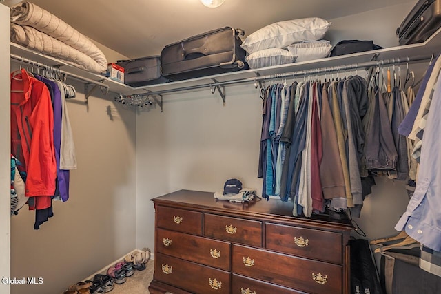 54 S Whitney Rd, Stillwater, NY 12866 - view of spacious closet