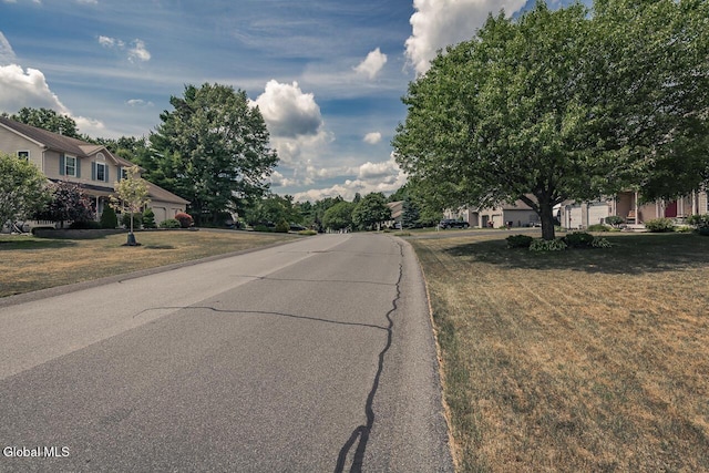 54 S Whitney Rd, Stillwater, NY 12866 - view of asphalt street