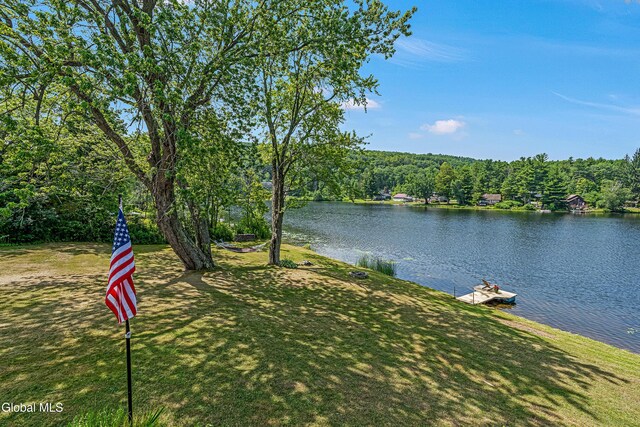 66 E Shore Dr, Berne, NY 12059 - photo 10