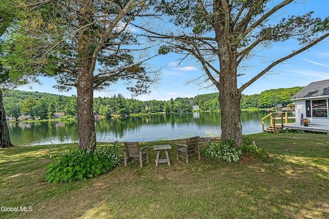 66 E Shore Dr, Berne, NY 12059 - photo 14