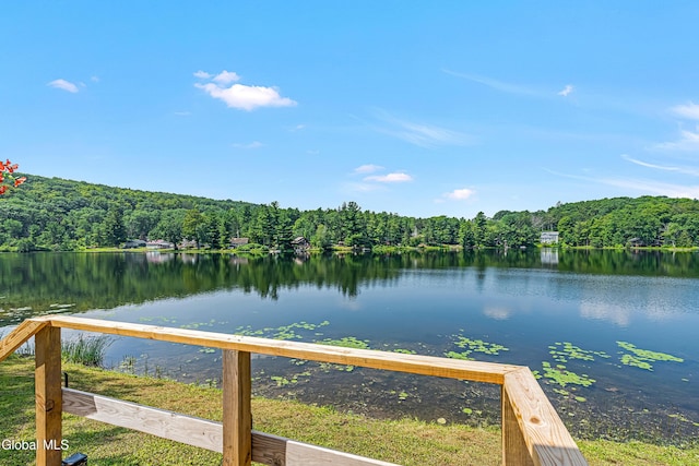 66 E Shore Dr, Berne, NY 12059 - photo 17