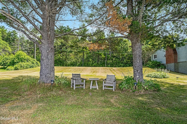 66 E Shore Dr, Berne, NY 12059 - photo 20