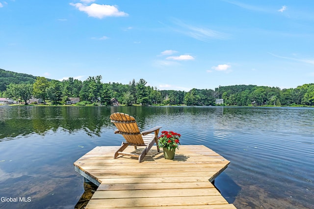 66 E Shore Dr, Berne, NY 12059 - photo 22