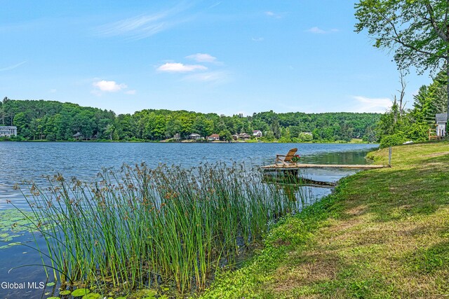 66 E Shore Dr, Berne, NY 12059 - photo 25