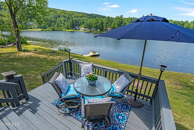 66 E Shore Dr, Berne, NY 12059 - photo 28