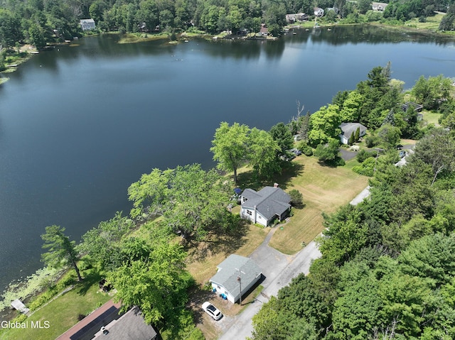 66 E Shore Dr, Berne, NY 12059 - photo 57