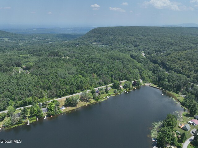 66 E Shore Dr, Berne, NY 12059 - photo 59