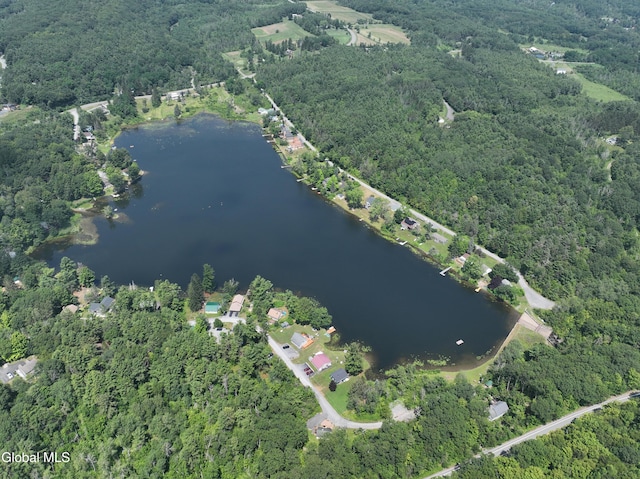 66 E Shore Dr, Berne, NY 12059 - photo 60